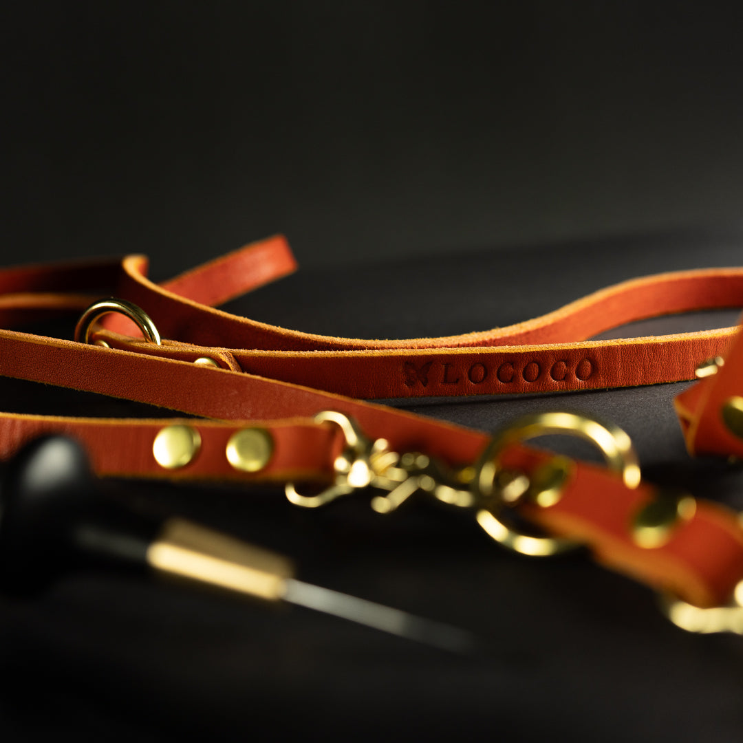 Cocolino Leine - 2 Meter